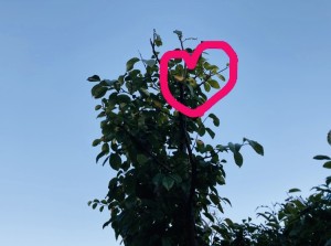 238B7657-DFBC-4D98-9109-0EBE5D1BC03F