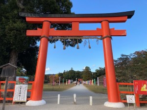 55375CD6-73EF-4686-A8C2-9A831B28A295